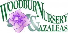 Woodburn Nursery and Azaleas